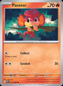 Pansear — White Flare — Common
