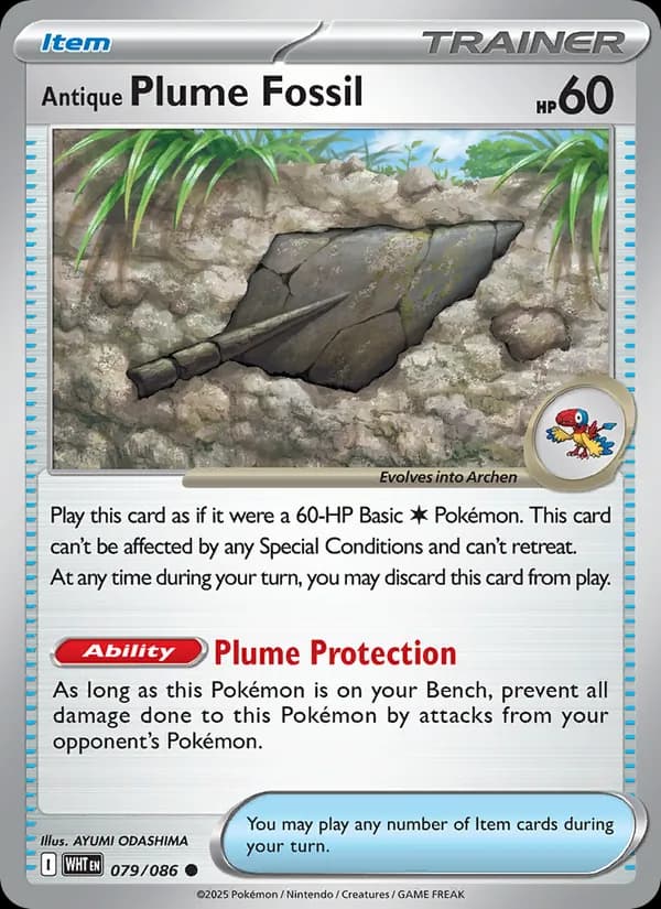 Antique Plume Fossil — White Flare, Common