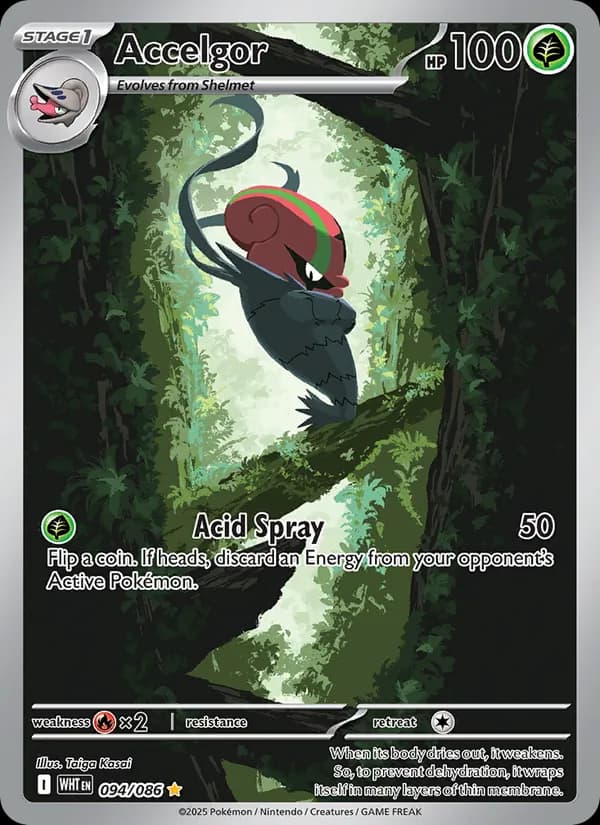 Accelgor — White Flare, Illustration rare