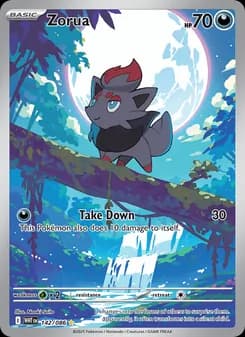 Zorua — White Flare — Illustration rare