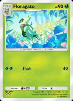 Floragato — Shining Revelry — Two Diamond