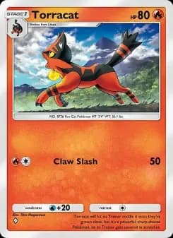 Torracat — Eevee Grove — One Diamond