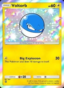 Voltorb — Eevee Grove — One Shiny