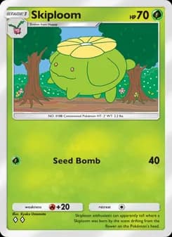 Skiploom — Wisdom of Sea and Sky — Two Diamond