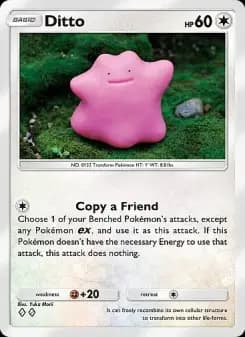 Ditto — Crimson Blaze — Two Diamond