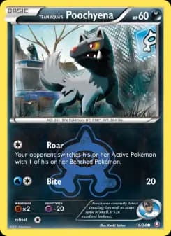 Team Aqua's Poochyena — Double Crisis — Common
