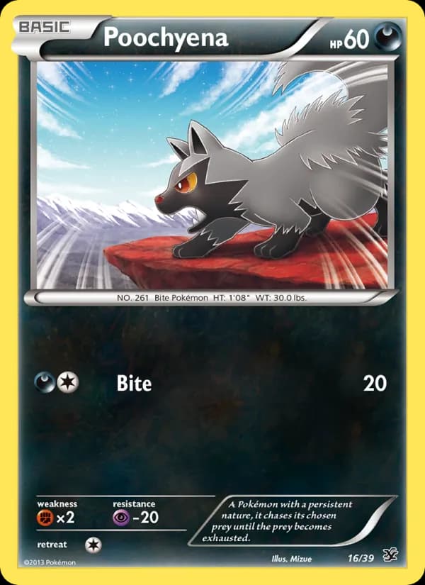 Poochyena — Kalos Starter Set, None