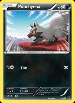 Poochyena — Kalos Starter Set — None