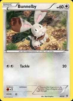 Bunnelby — Kalos Starter Set — None