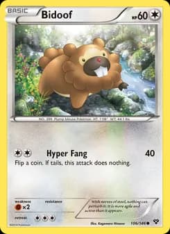 Bidoof — XY — Common