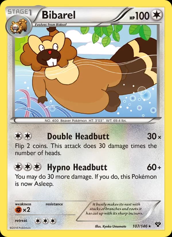 Bibarel — XY, Rare