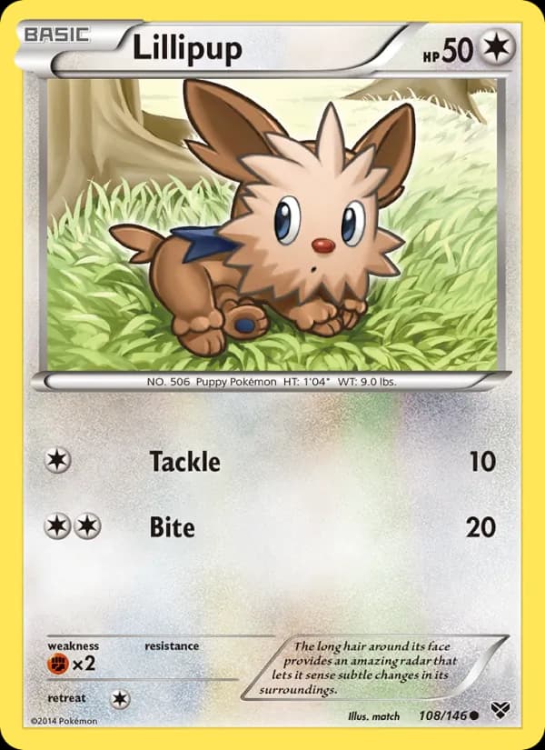 Lillipup — XY, Common
