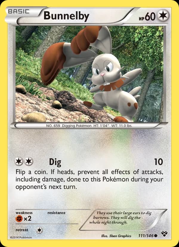Bunnelby — XY, Common