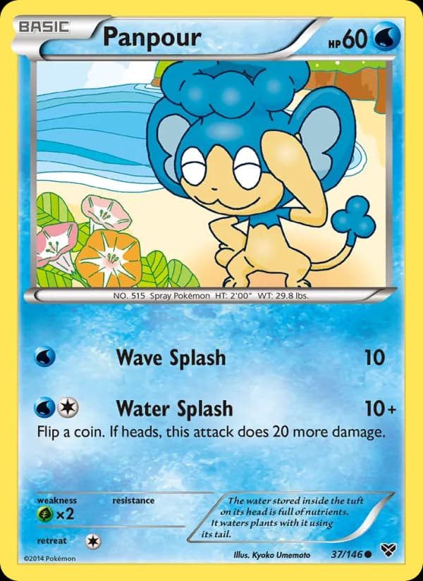 Panpour — XY, Common