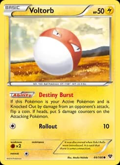 Voltorb — XY — Common