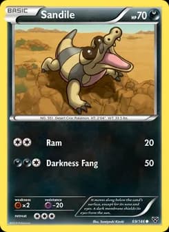 Sandile — XY — Common