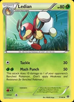 Ledian — XY — Uncommon