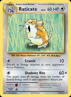 Raticate — Evolutions — Rare