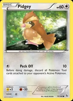 Pidgey — Flashfire — Common