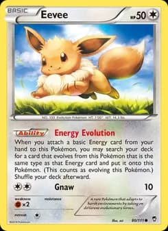 Eevee — Furious Fists — Common