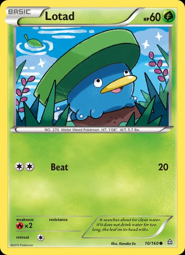 Lotad — Primal Clash, Common