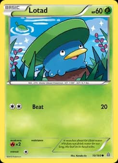 Lotad — Primal Clash — Common