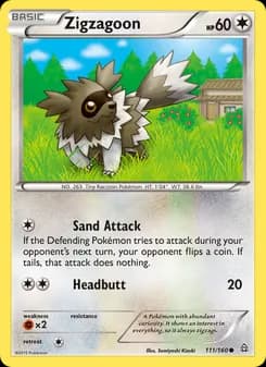 Zigzagoon — Primal Clash — Common