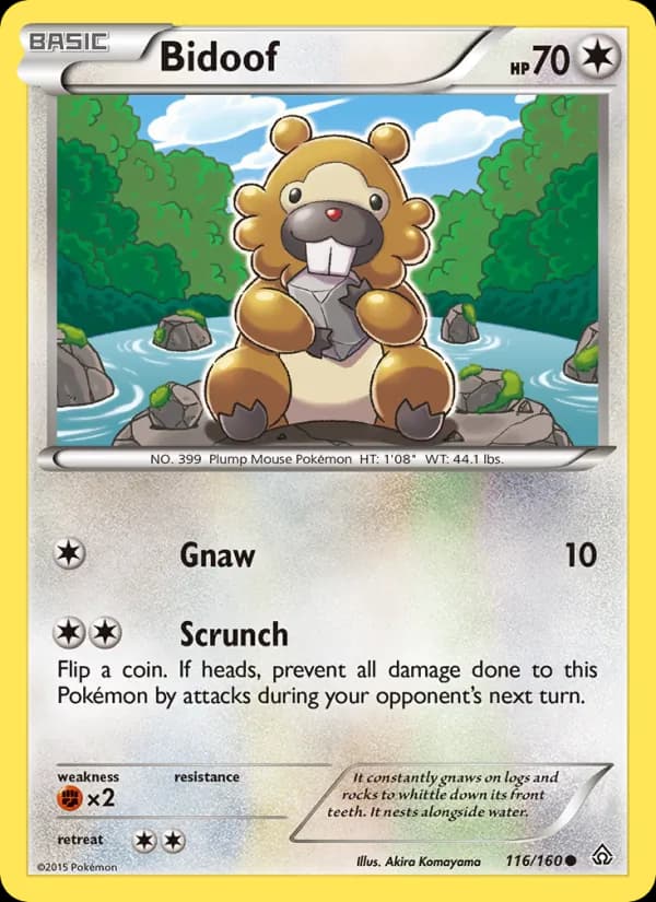 Bidoof — Primal Clash, Common