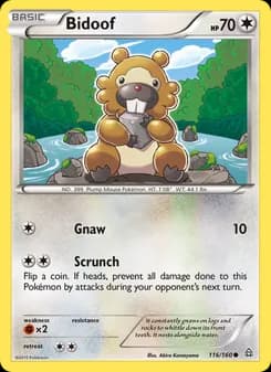Bidoof — Primal Clash — Common