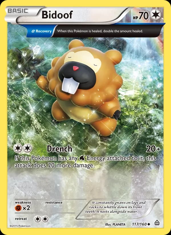Bidoof — Primal Clash, Uncommon