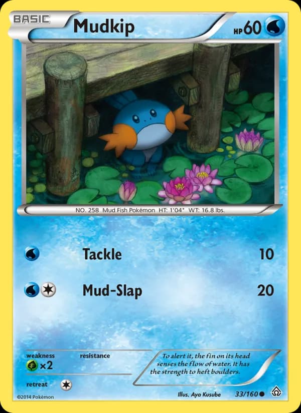 Mudkip — Primal Clash, Common