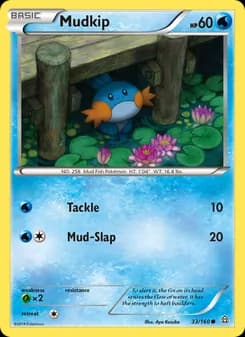 Mudkip — Primal Clash — Common