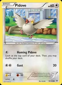 Pidove — Roaring Skies — Common