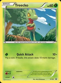Treecko — XY Black Star Promos — None