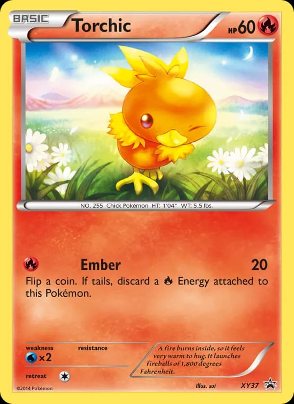 Torchic — XY Black Star Promos, None