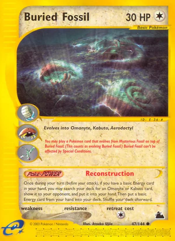 Buried Fossil — Skyridge, Common