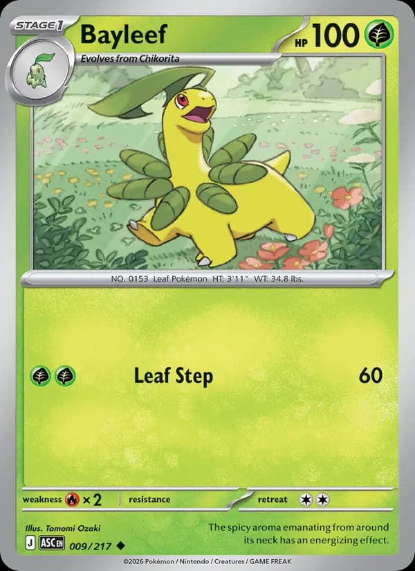 Bayleef — Ascended Heroes, Uncommon