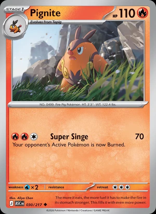 Pignite — Ascended Heroes, Uncommon