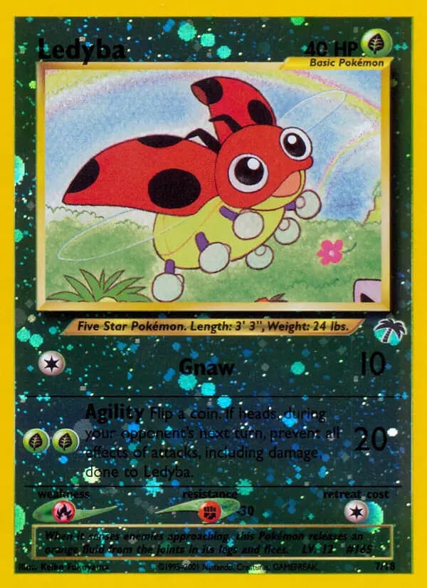 Ledyba — Southern Islands, Common
