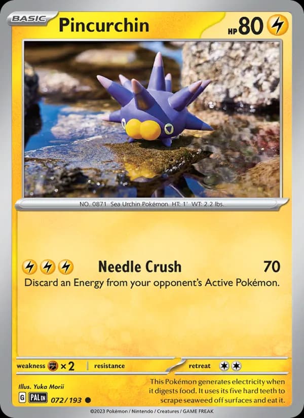 Pincurchin — Paldea Evolved, Common