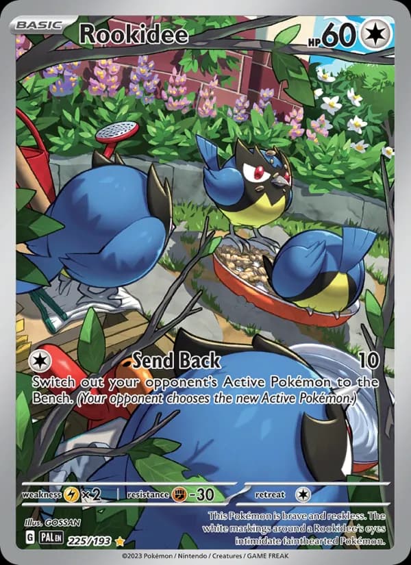 Rookidee — Paldea Evolved, Illustration rare