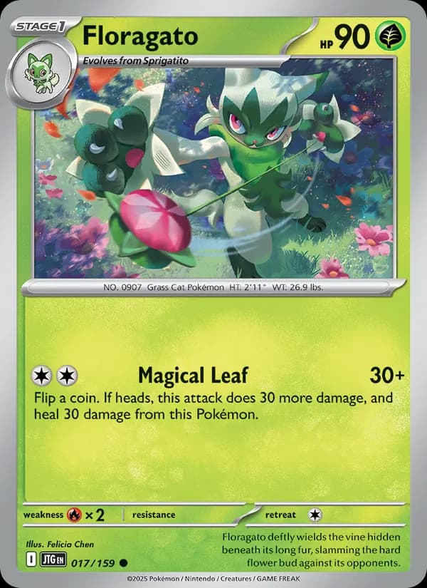 Floragato — Journey Together, Common