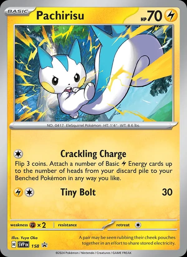 Pachirisu — SVP Black Star Promos, None