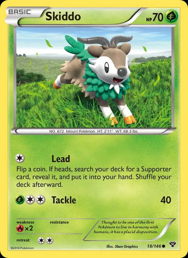 Skiddo — XY, Common