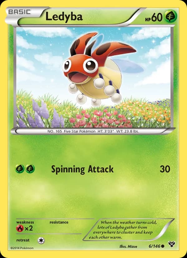 Ledyba — XY, Common