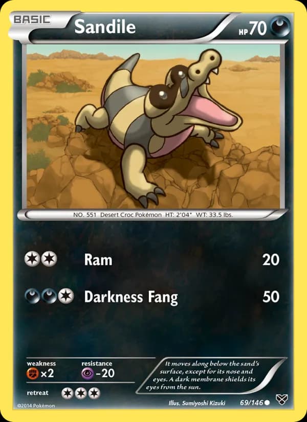 Sandile — XY, Common