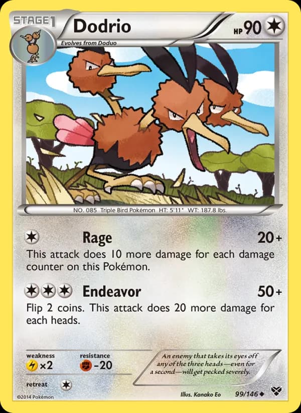 Dodrio — XY, Uncommon