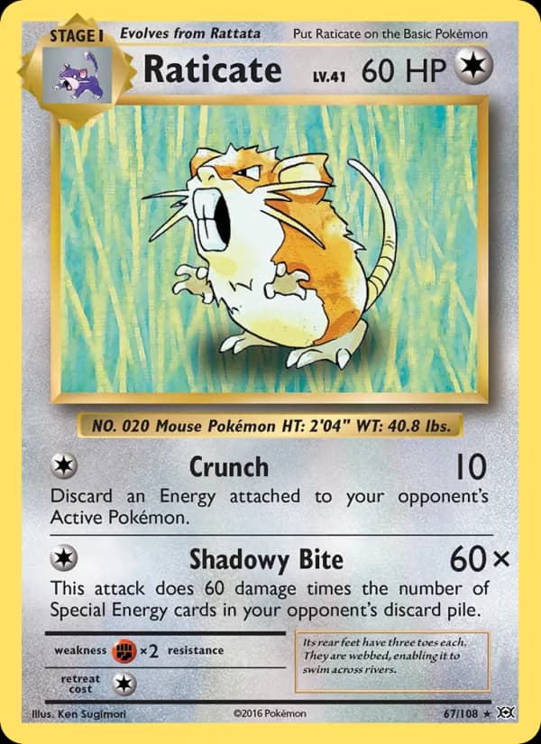Raticate — Evolutions, Rare