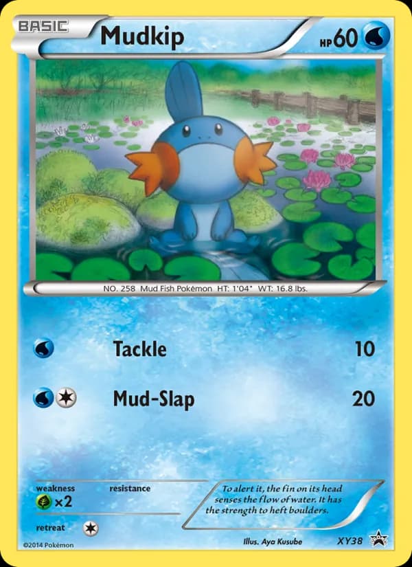 Mudkip — XY Black Star Promos, None